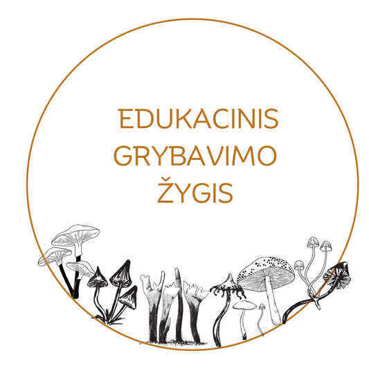 Edukacinis grybavimo žygis spalio 7 d., 10:00-16:00 val. Marcinkonyse